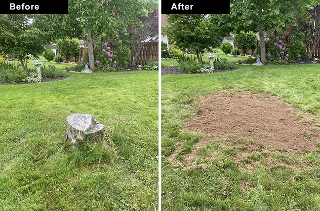 before and after tree stump grinding photos