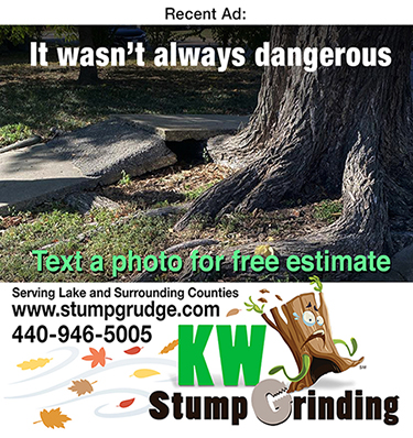 ad for stump grinding