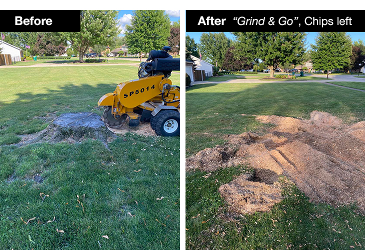 stump grinding grind and go