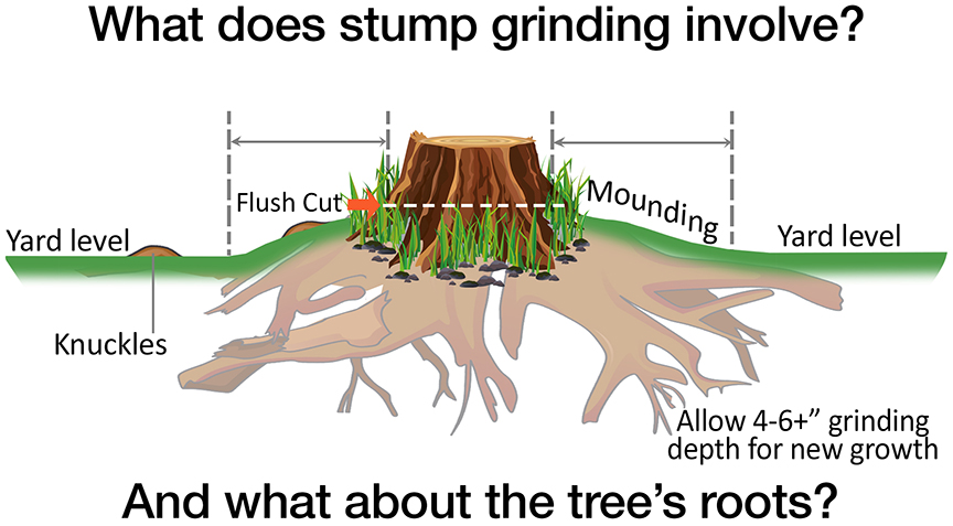 tree stump grinding diagram